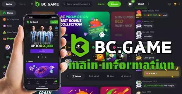 BC.Game Romania Login Process A Simple Guide
